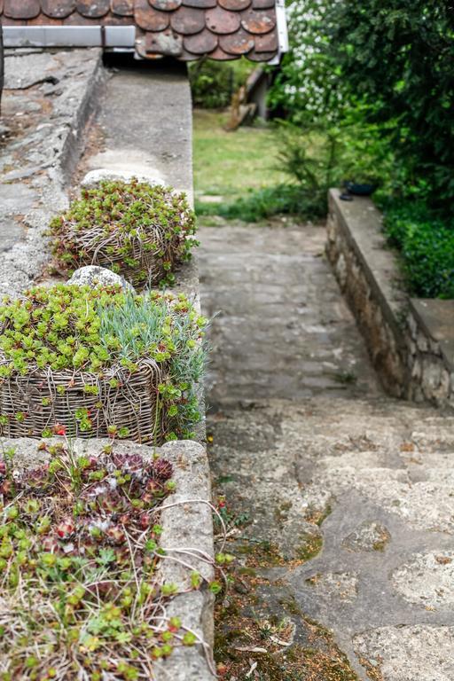 Myrtus Pince Es Vendeghaz Hotel Tarcal Buitenkant foto
