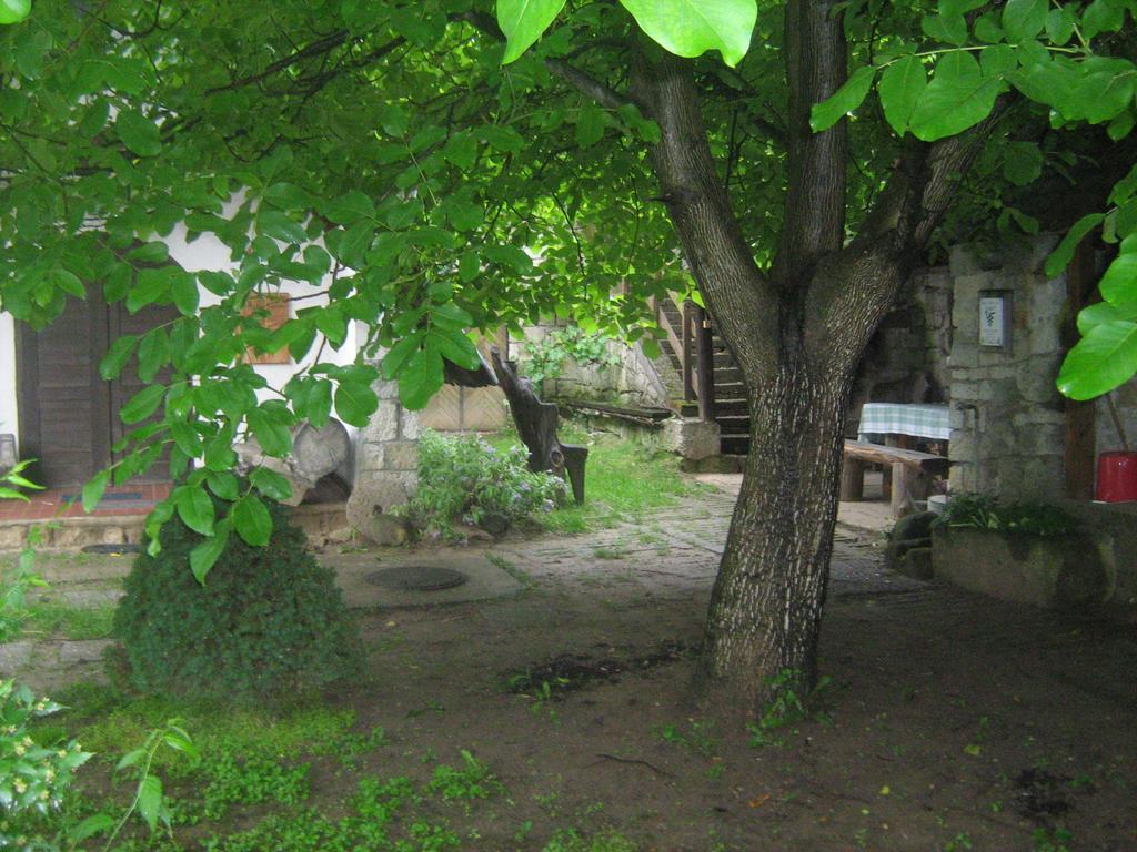 Myrtus Pince Es Vendeghaz Hotel Tarcal Buitenkant foto